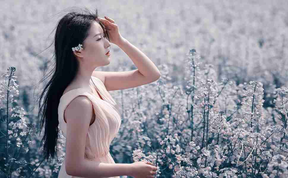 seo站群干什么的