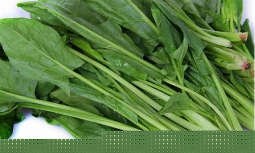 菠菜老平台集合网:菠菜信息大全(菠菜信息是什么)