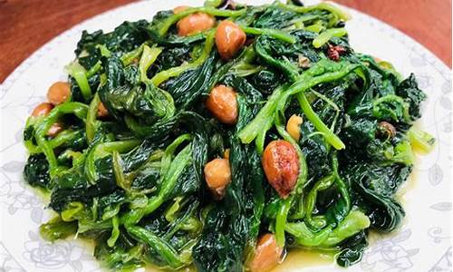 最新最全白菜网:菠菜网址