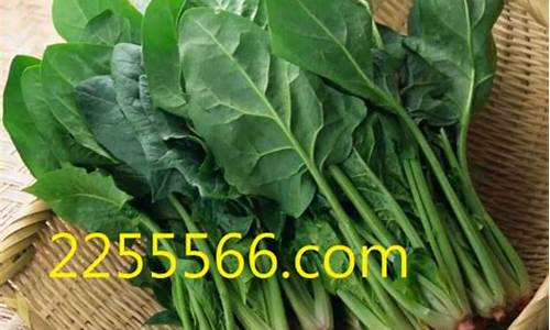 菠菜优惠担保:最新免费菠菜论坛(菠菜论坛网址谁知道)