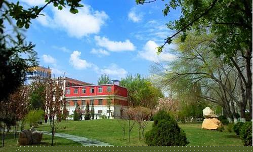 最全菠菜导航(菠菜资讯导航大全)