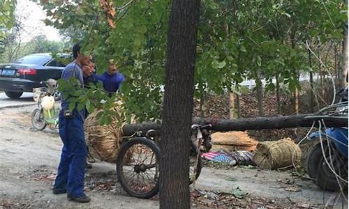 风云菠菜网:菠菜网平台大全(菠菜网地址) (2)