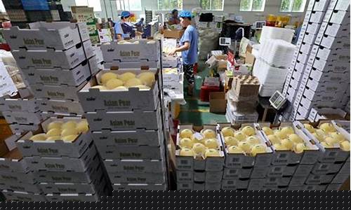 白菜网址(白菜网站大全手机验证)