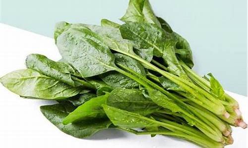 菠菜公司广告:菠菜公司下载(菠菜公司排行网址)