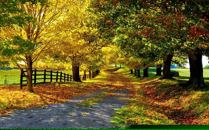  免费cp白菜官方排名网站：菠菜交流平台(菠菜资讯) (2)