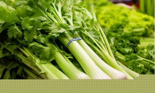 菠菜排名网(十大菠菜品种)
