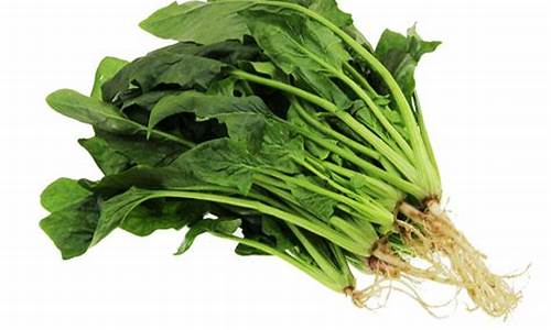 008白菜网:菠菜注册(菠菜信息) (2)