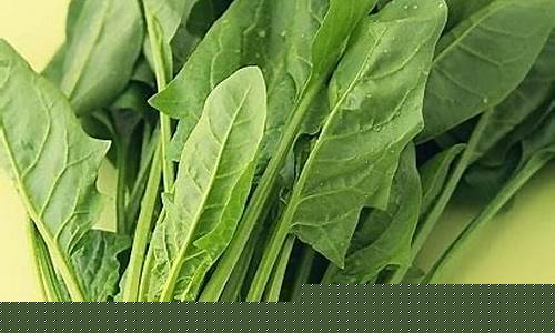 菠菜公司网址(10b菠菜公司)