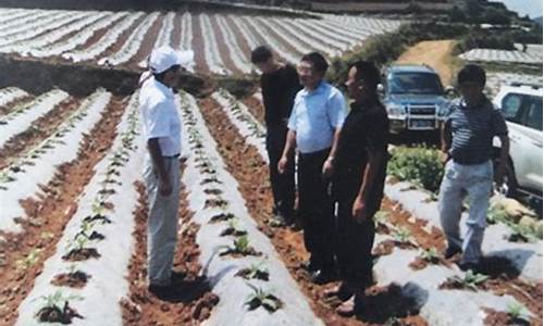 菠菜体育直播:专业菠菜导航官网 (2)