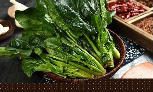 网上菠菜公司注册直营:菠菜大全(菠菜大全大图)