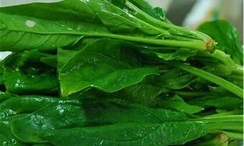 白菜网注册领体验金:最新菠菜(最新菠菜优惠论坛)