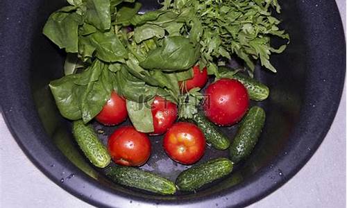 菠菜网收集(菠菜籽收集方法)