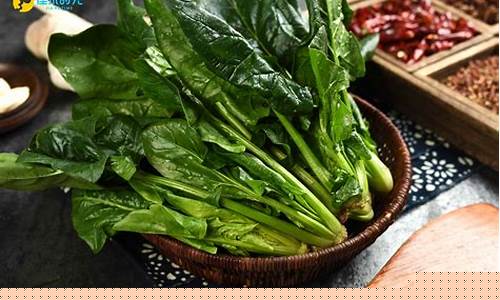 菠菜体育官网:菠菜官方网站 (2)